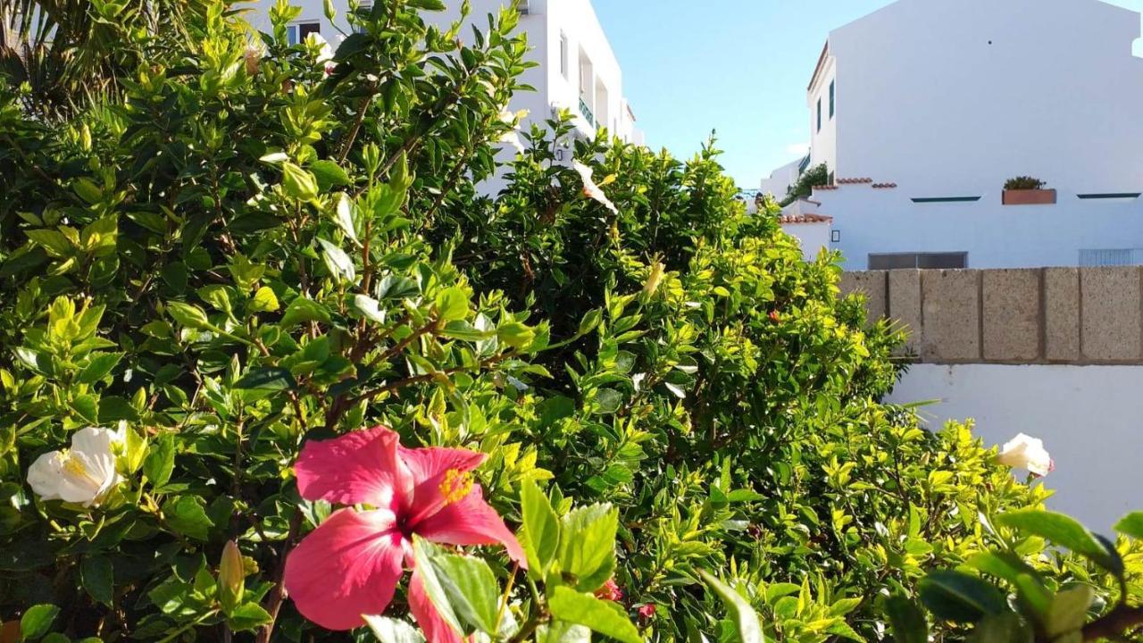 Parque Don Jose, Casa Antonella Apartamento Costa Del Silencio Exterior foto
